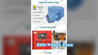 เครื่องกำเนิดไฟฟ้าดีเซลป้องกันการระเบิด 00kva ATEX Zone