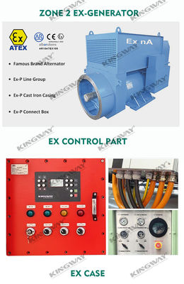 แพลตฟอร์มนอกทะเล ATEX โซน 2 32kw 40kva โซน 1 เครื่องกําเนิดดีเซลกันระเบิด DNVGL 2.7-1กรอบยก